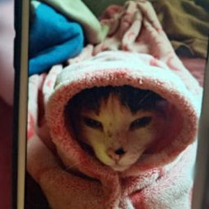 Meet your Posher, Alberto